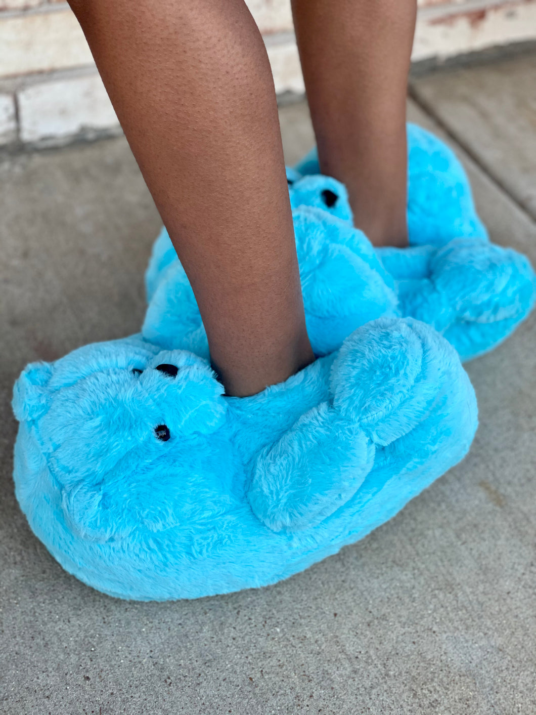 Light Blue Teddy Slippers